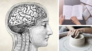 Neurocyclin - pro lepší paměť – gdje kupiti – test – krema